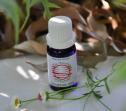 Insect Bite Anti-Itch Concentrate 12mL